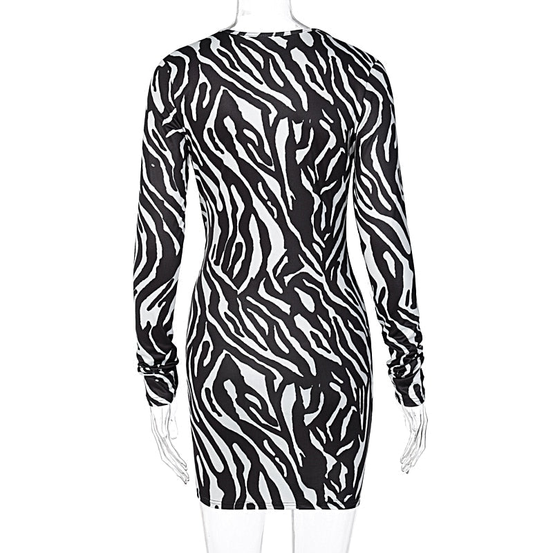 Zebra Print Long Sleeve V-Neck Mini Dress
