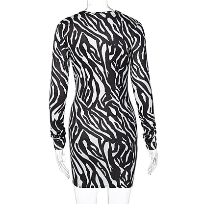 Zebra Print Long Sleeve V-Neck Mini Dress