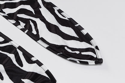 Zebra Print Long Sleeve V-Neck Mini Dress