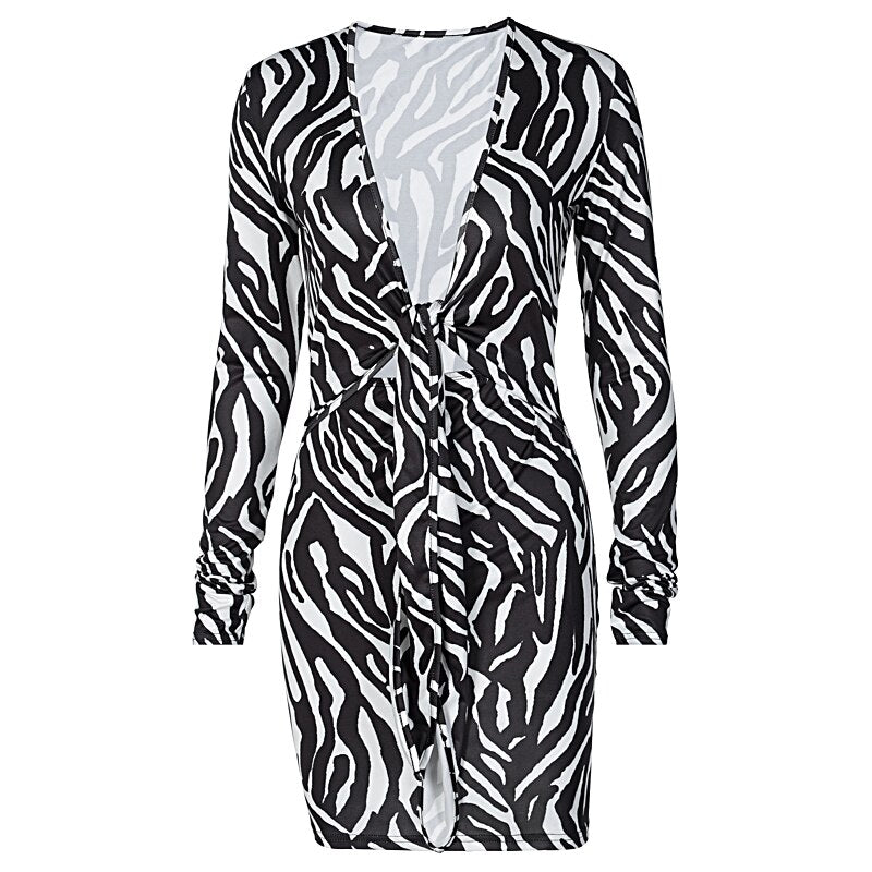 Zebra Print Long Sleeve V-Neck Mini Dress