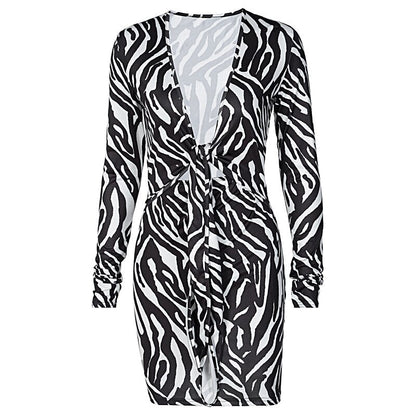 Zebra Print Long Sleeve V-Neck Mini Dress