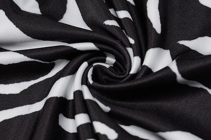 Zebra Print Long Sleeve V-Neck Mini Dress