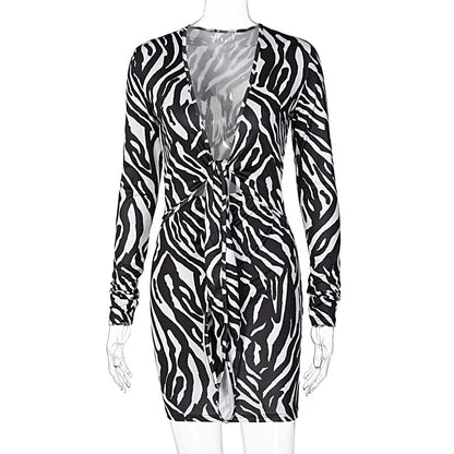 Zebra Print Long Sleeve V-Neck Mini Dress