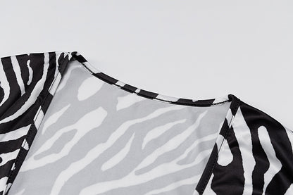 Zebra Print Long Sleeve V-Neck Mini Dress