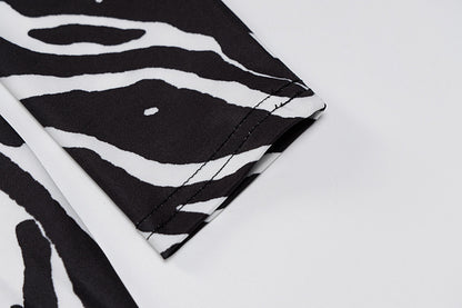 Zebra Print Long Sleeve V-Neck Mini Dress