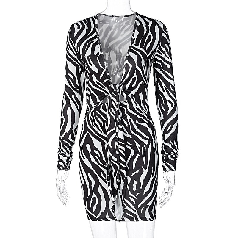 Zebra Print Long Sleeve V-Neck Mini Dress