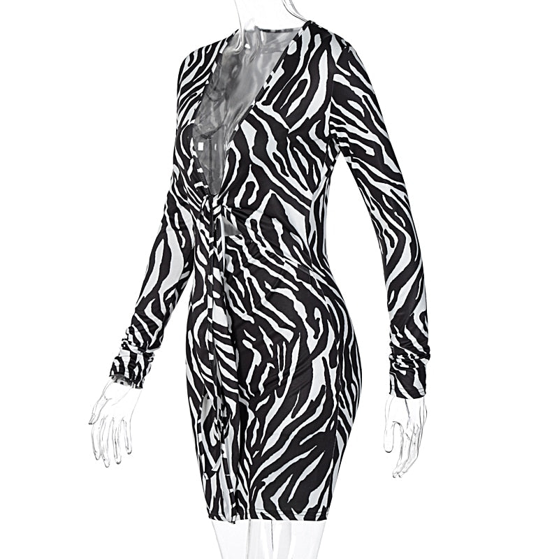 Zebra Print Long Sleeve V-Neck Mini Dress